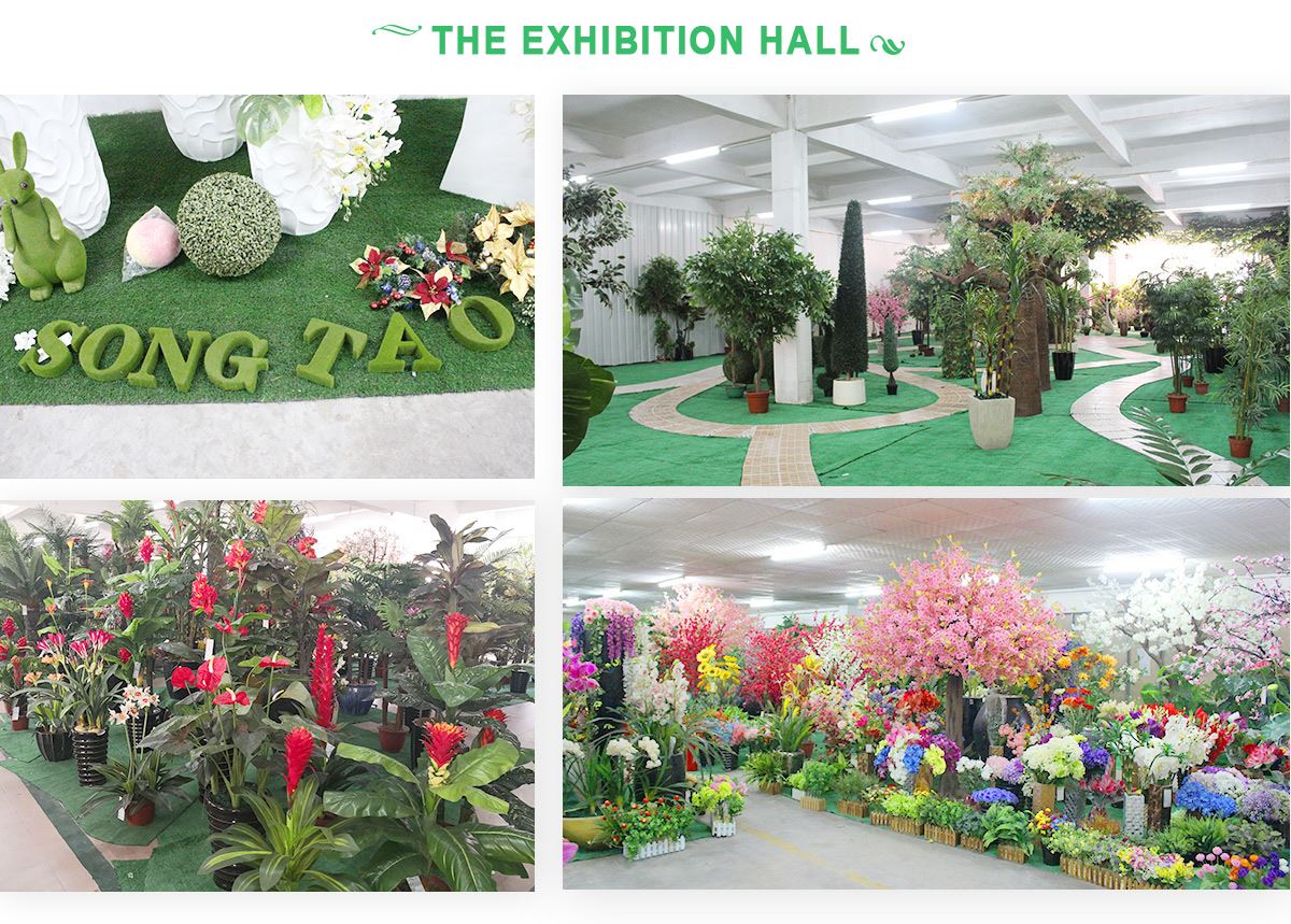 HAC SHOWROOM HAC SHOWROOM