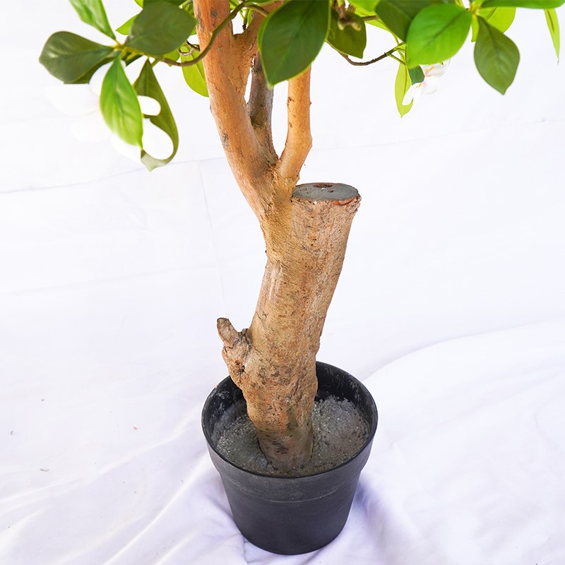product-800-800