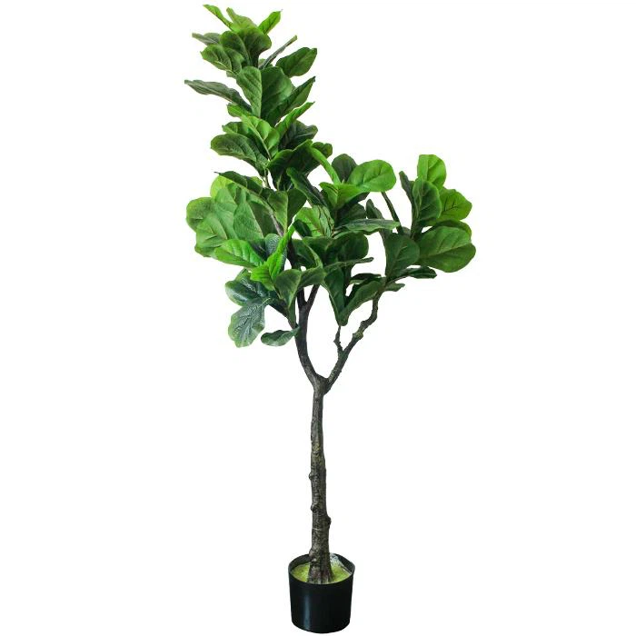 Impjant artifiċjali tal-Ficus Lyrata Mħawwla