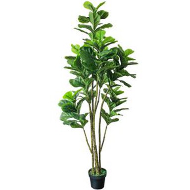 Pjanti Lyrata Ficus mħawwla artifiċjali għat-tiżjin