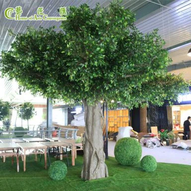 Silk Ficus Tree