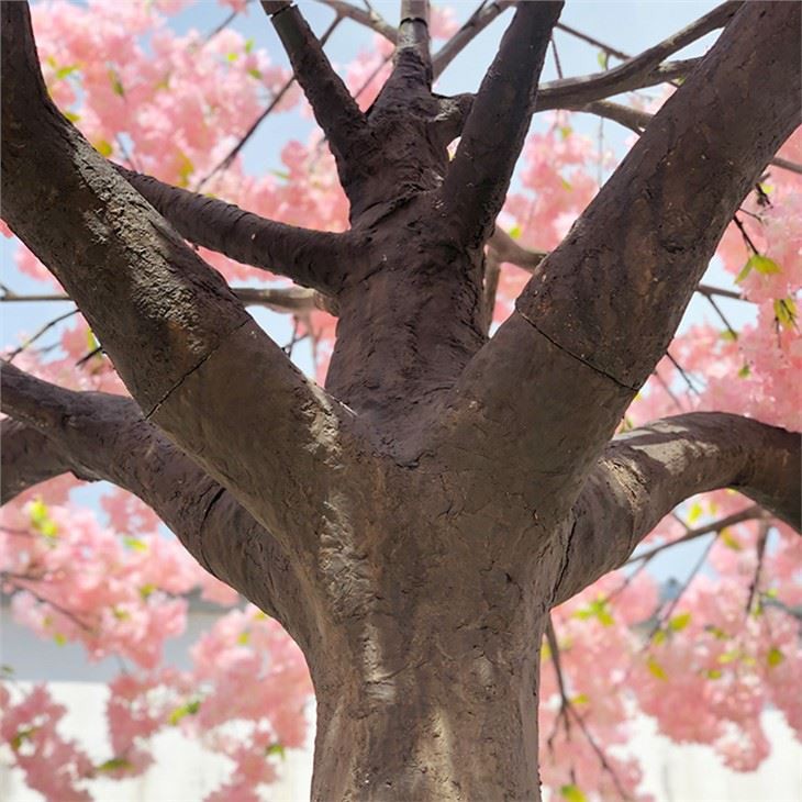 14ft Pink False Cherry Tree